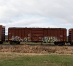 CP 215781